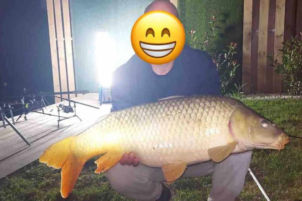 Domeglamping At Fishinglake *
